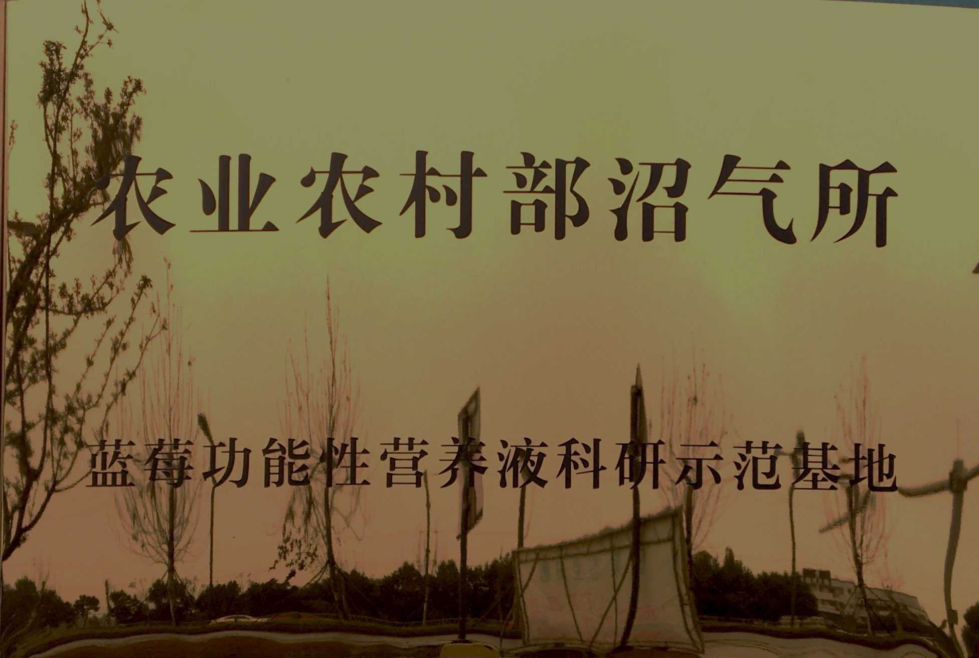 農(nóng)業(yè)農(nóng)村部沼氣所藍(lán)莓功能性營(yíng)養(yǎng)液科研示范基地